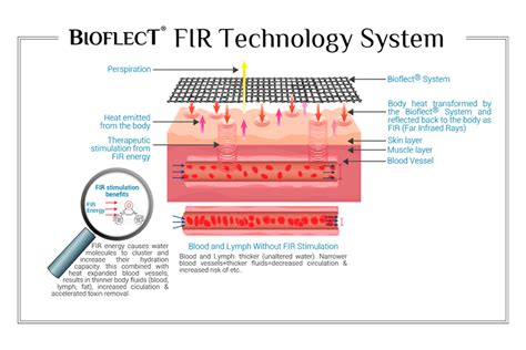 fir therapy fabric contain metals|The Science and Potential of Far.